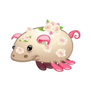 Wedding Sea Pig